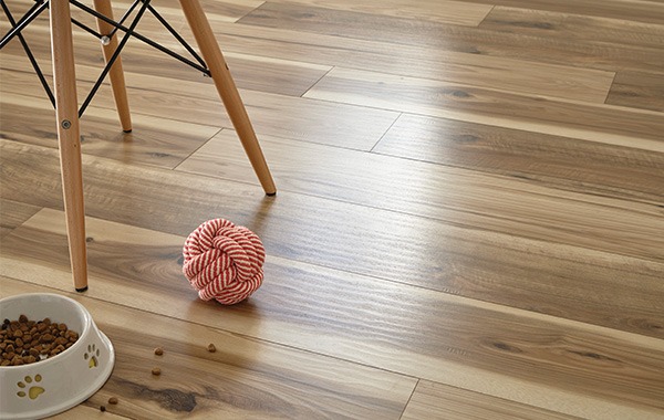 Light wood flooring with a red yarn ball, spilled pet food, and a wooden chair leg in view.